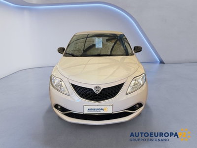 Lancia Ypsilon 1.2 69 CV 5 porte GPL Ecochic Gold (5)