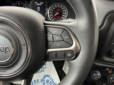 Jeep Renegade 1.6 Mjt 130 CV Longitude (13)