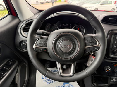 Jeep Renegade 1.6 Mjt 130 CV Longitude (14)