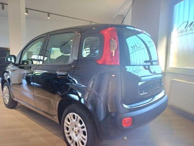 Fiat Pandina 1.0 firefly hybrid Pop s&s 65cv (5)