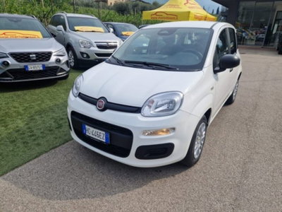 Fiat Pandina 1.0 firefly hybrid Pop s&s 65cv nuova