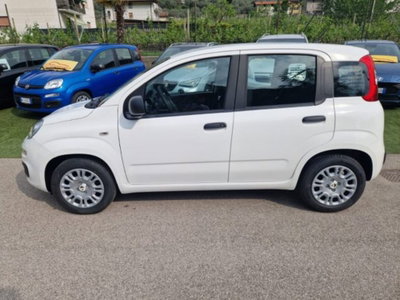 Fiat Pandina 1.0 firefly hybrid Pop s&s 65cv (2)