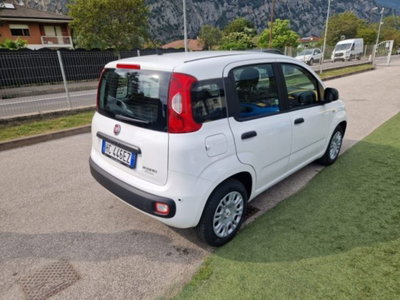 Fiat Pandina 1.0 firefly hybrid Pop s&s 65cv (5)