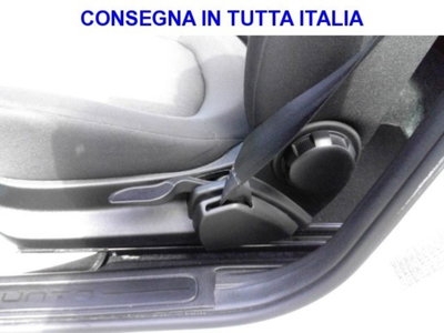 Fiat Punto 1.4 GPL 5 porte Van 4 posti N1 (17)