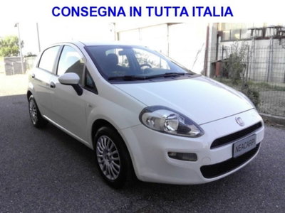 Fiat Punto 1.4 GPL 5 porte Van 4 posti N1 (4)