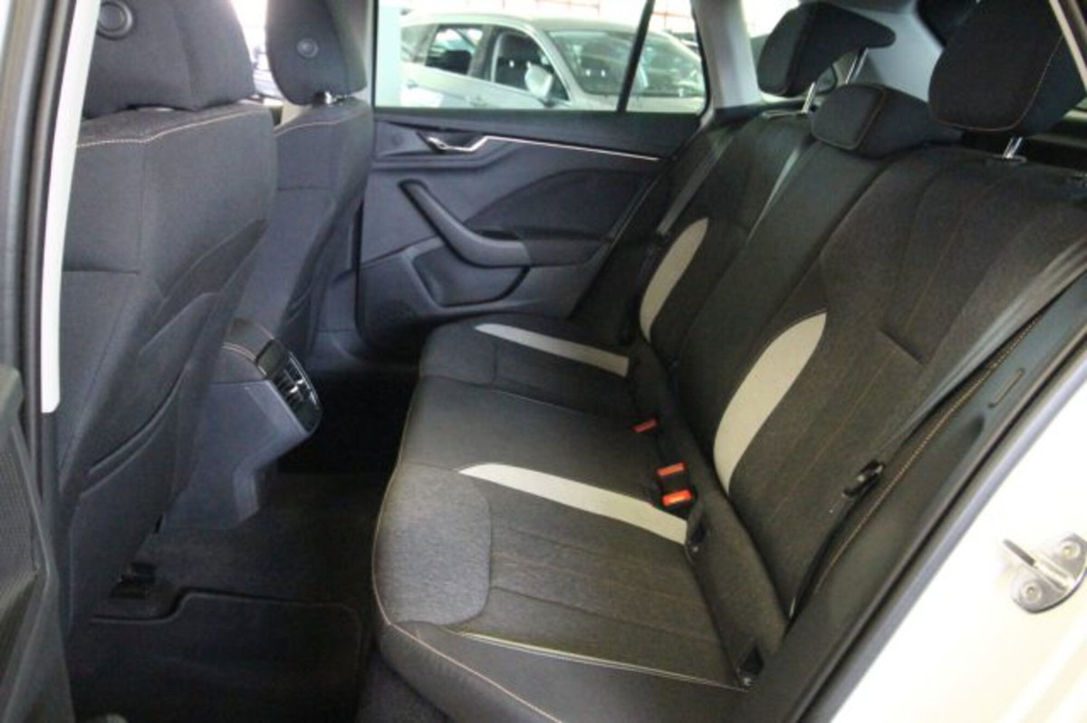Skoda Kamiq 1.0 TSI 110 CV DSG Style (12)