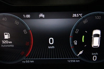 Skoda Kamiq 1.0 TSI 110 CV DSG Style (8)