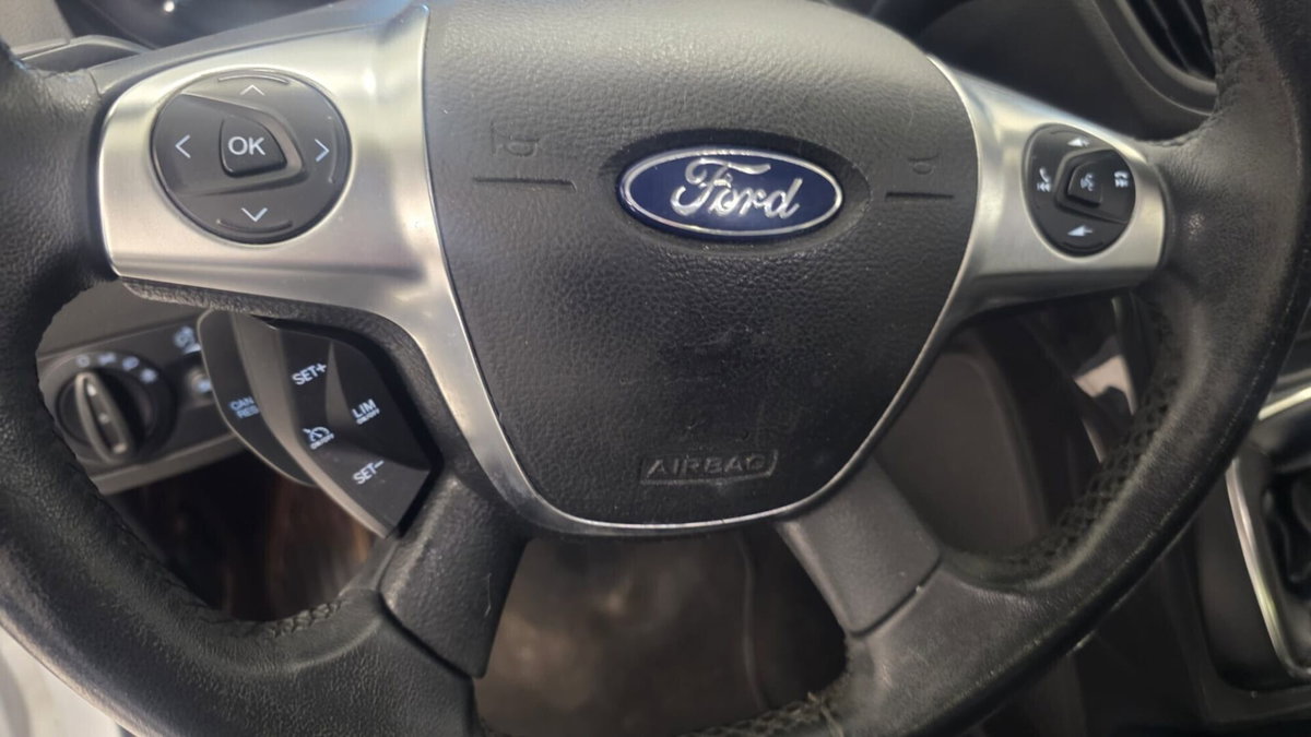 Ford Kuga 2.0 TDCI 120 CV S&S 2WD Business N1 (18)