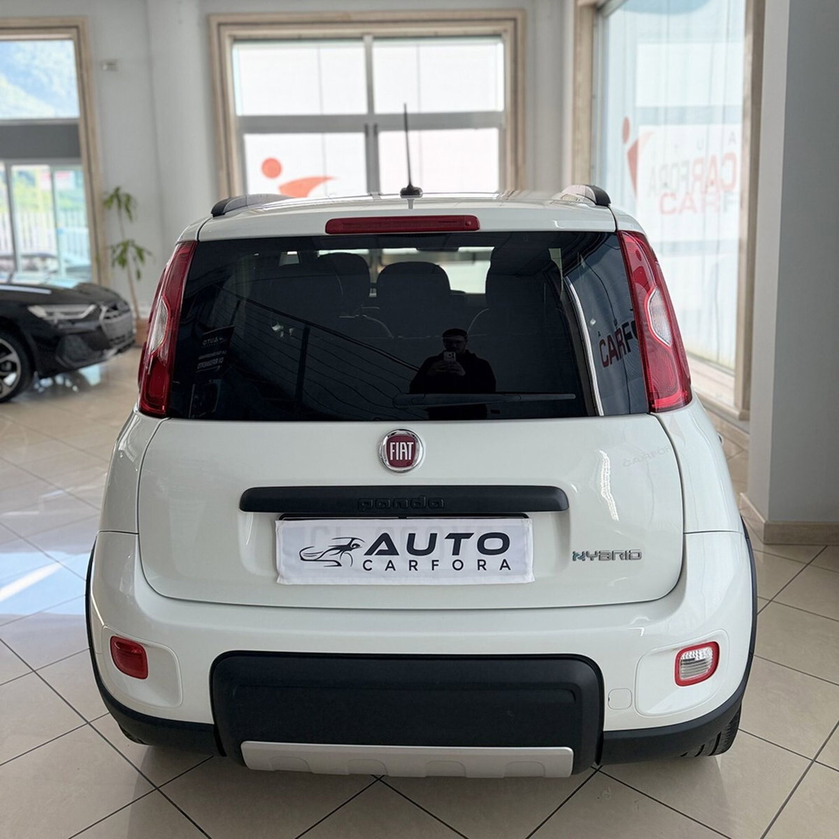 Fiat Panda 1.0 FireFly S&S Hybrid City Cross (3)