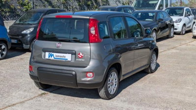 Fiat Panda 1.0 firefly hybrid s&s 70cv 5p.ti (4)