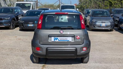 Fiat Panda 1.0 firefly hybrid s&s 70cv 5p.ti (5)
