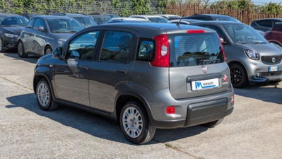 Fiat Panda 1.0 firefly hybrid s&s 70cv 5p.ti (6)