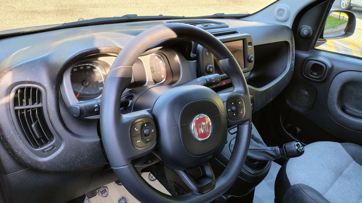 Fiat Panda Cross Cross 1.0 FireFly S&S Hybrid (16)