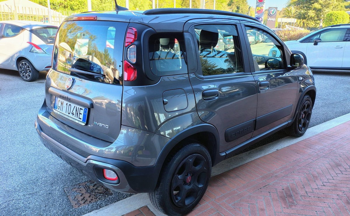 Fiat Panda Cross Cross 1.0 FireFly S&S Hybrid (5)