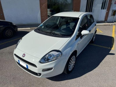 Fiat Punto 1.3 MJT II 75 CV 5 porte Street (2)