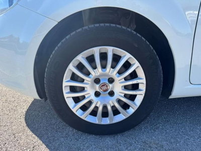 Fiat Punto 1.3 MJT II 75 CV 5 porte Street (20)
