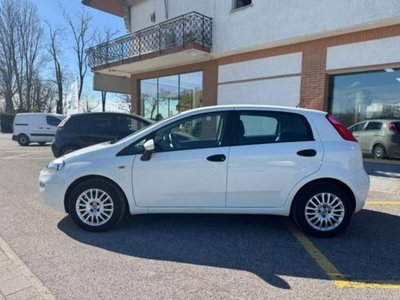 Fiat Punto 1.3 MJT II 75 CV 5 porte Street (3)