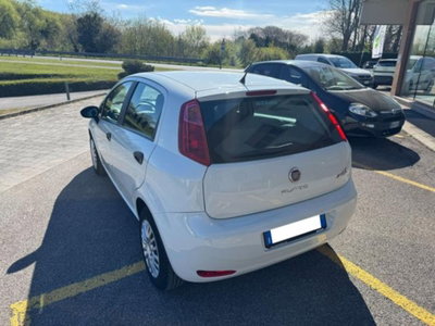 Fiat Punto 1.3 MJT II 75 CV 5 porte Street (4)