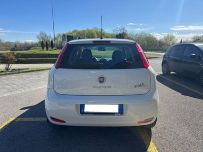 Fiat Punto 1.3 MJT II 75 CV 5 porte Street (5)