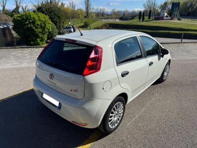 Fiat Punto 1.3 MJT II 75 CV 5 porte Street (6)