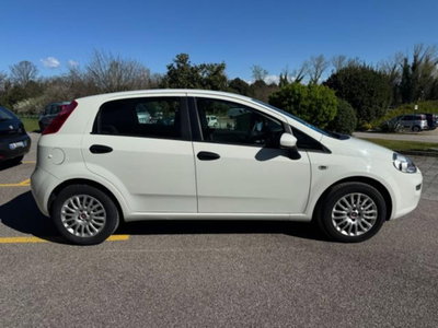Fiat Punto 1.3 MJT II 75 CV 5 porte Street (7)