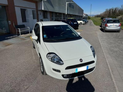 Fiat Punto 1.3 MJT II 75 CV 5 porte Street (8)