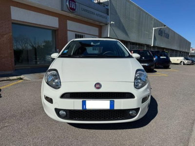 Fiat Punto 1.3 MJT II 75 CV 5 porte Street (9)