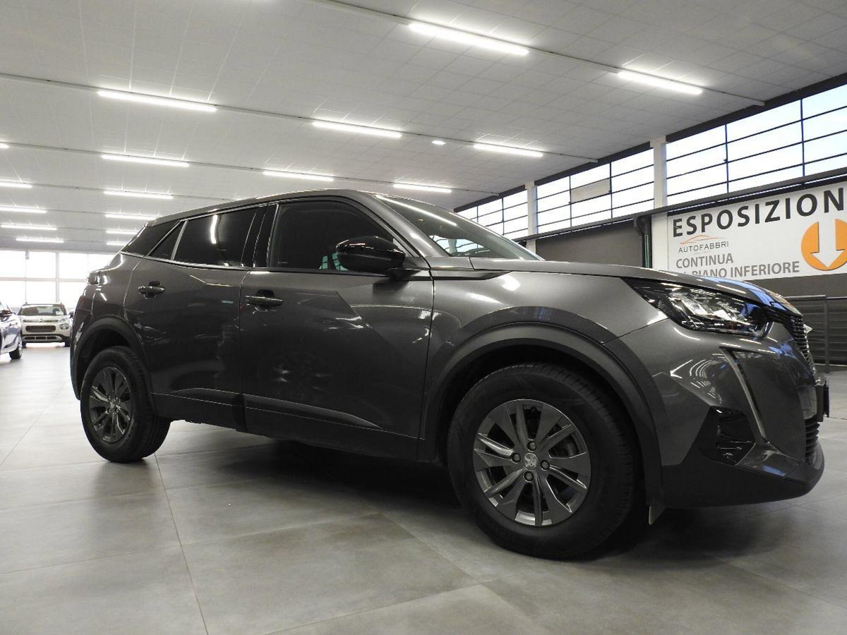Peugeot 2008 PureTech 100 S&S Active Pack (6)