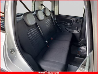 Fiat Panda 1.0 firefly hybrid Pop s&s 70cv (10)