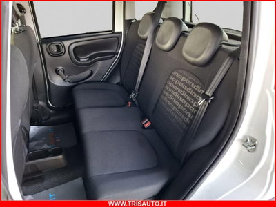 Fiat Panda 1.0 firefly hybrid Pop s&s 70cv (11)
