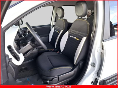 Fiat Panda 1.0 firefly hybrid Pop s&s 70cv (9)