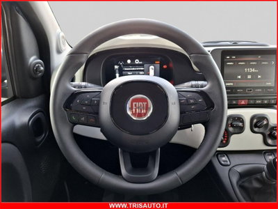 Fiat Panda 1.0 firefly hybrid Pop s&s 70cv (12)