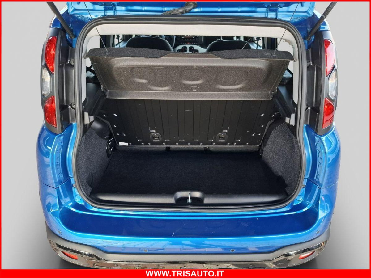 Fiat Panda Cross Cross 1.0 FireFly S&S Hybrid (18)