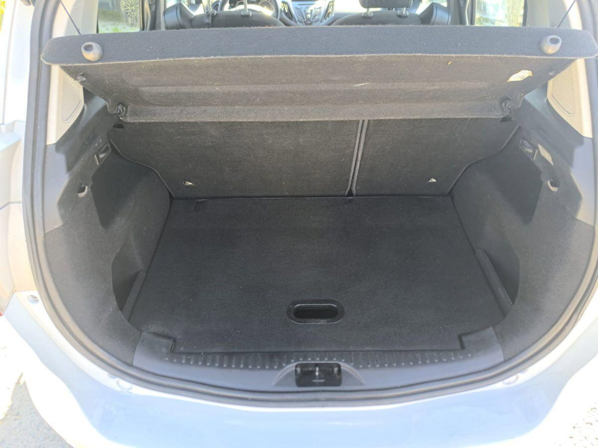 Ford B-Max B-Max 1.5 TDCi 75 CV (18)