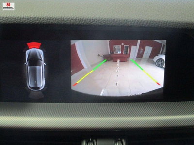 Alfa Romeo Stelvio Stelvio 2.2 Turbodiesel 190 CV AT8 Q4 Sprint (12)