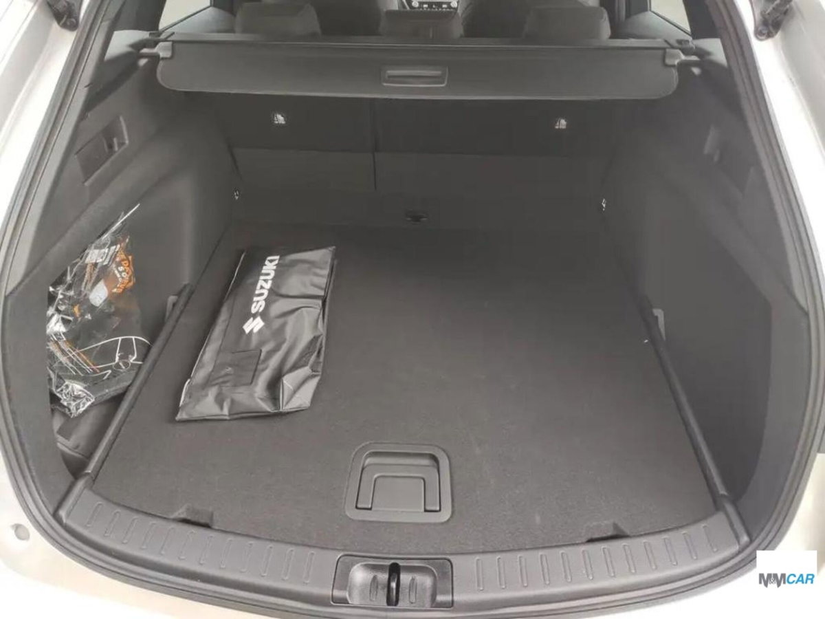 Suzuki Swace 1.8 Hybrid E-CVT 2WD Cool (14)