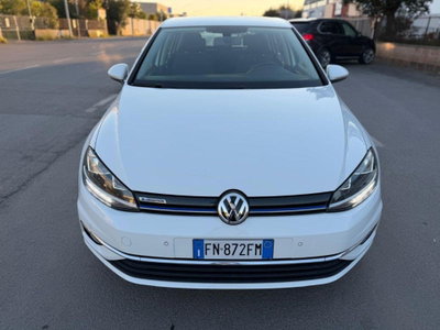 Volkswagen Golf 1.4 TGI 5p. Executive BlueMotion (2)