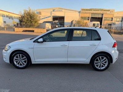 Volkswagen Golf 1.4 TGI 5p. Executive BlueMotion (4)