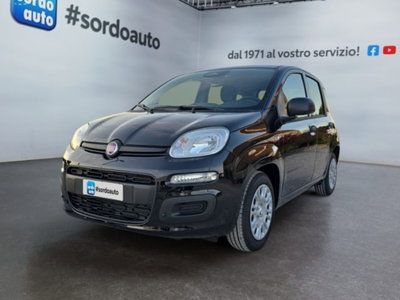 Fiat Pandina 1.0 firefly hybrid Icon s&s 65cv nuova