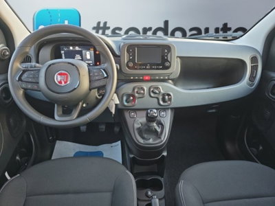 Fiat Pandina 1.0 firefly hybrid Icon s&s 65cv (10)