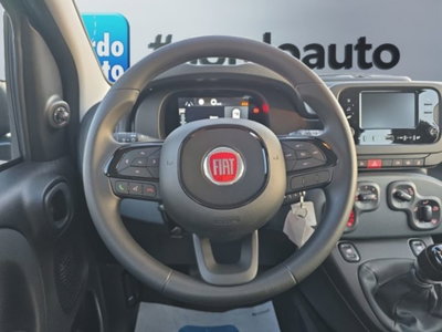 Fiat Pandina 1.0 firefly hybrid Icon s&s 65cv (13)