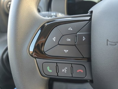 Fiat Pandina 1.0 firefly hybrid Icon s&s 65cv (14)