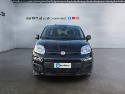Fiat Pandina 1.0 firefly hybrid Icon s&s 65cv (2)