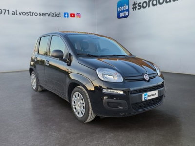 Fiat Pandina 1.0 firefly hybrid Icon s&s 65cv (3)