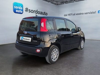Fiat Pandina 1.0 firefly hybrid Icon s&s 65cv (4)