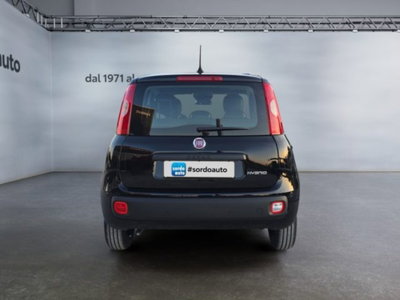 Fiat Pandina 1.0 firefly hybrid Icon s&s 65cv (5)