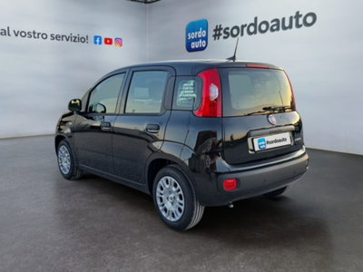 Fiat Pandina 1.0 firefly hybrid Icon s&s 65cv (6)