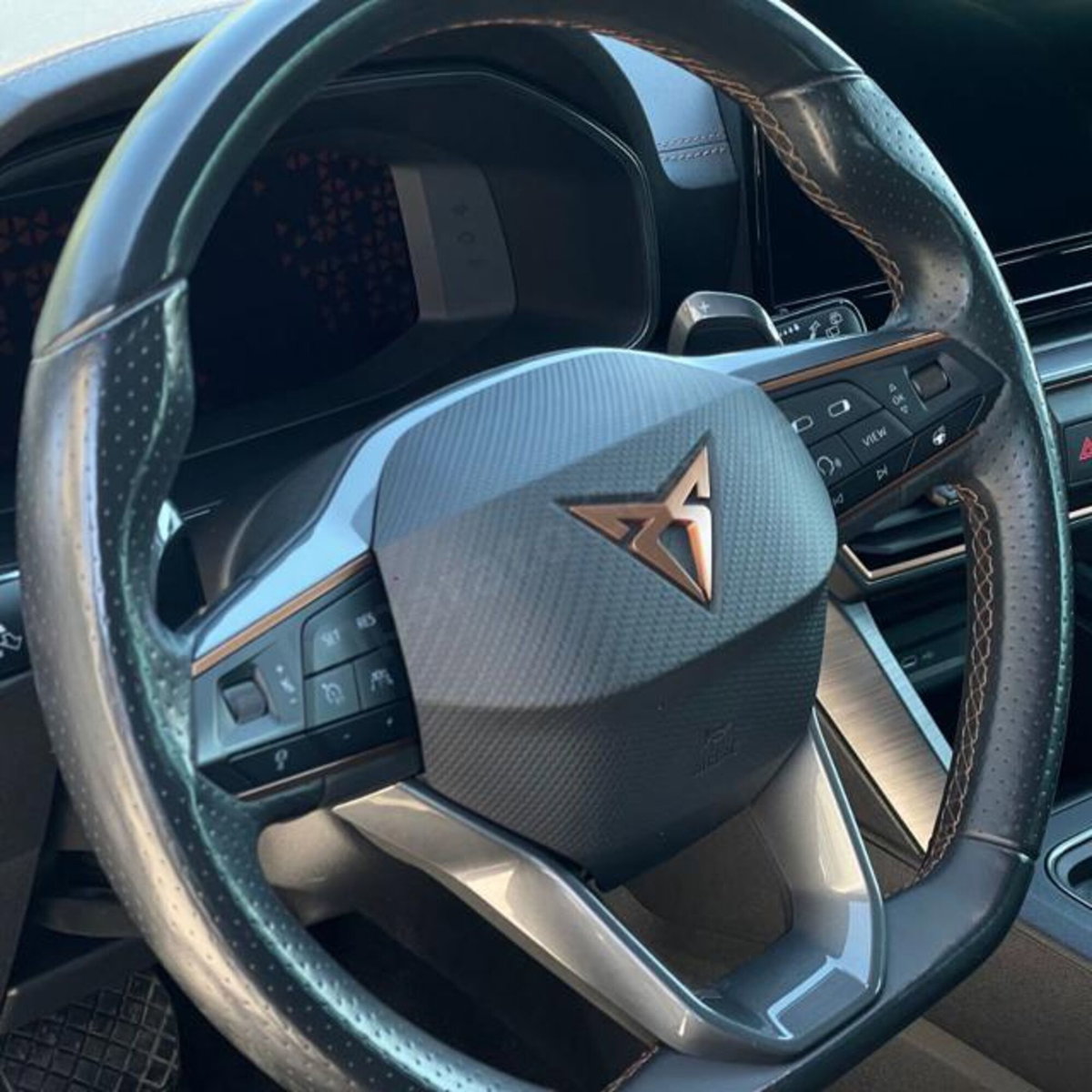 Cupra Formentor Formentor 2.0 tdi 4drive 150cv dsg (17)
