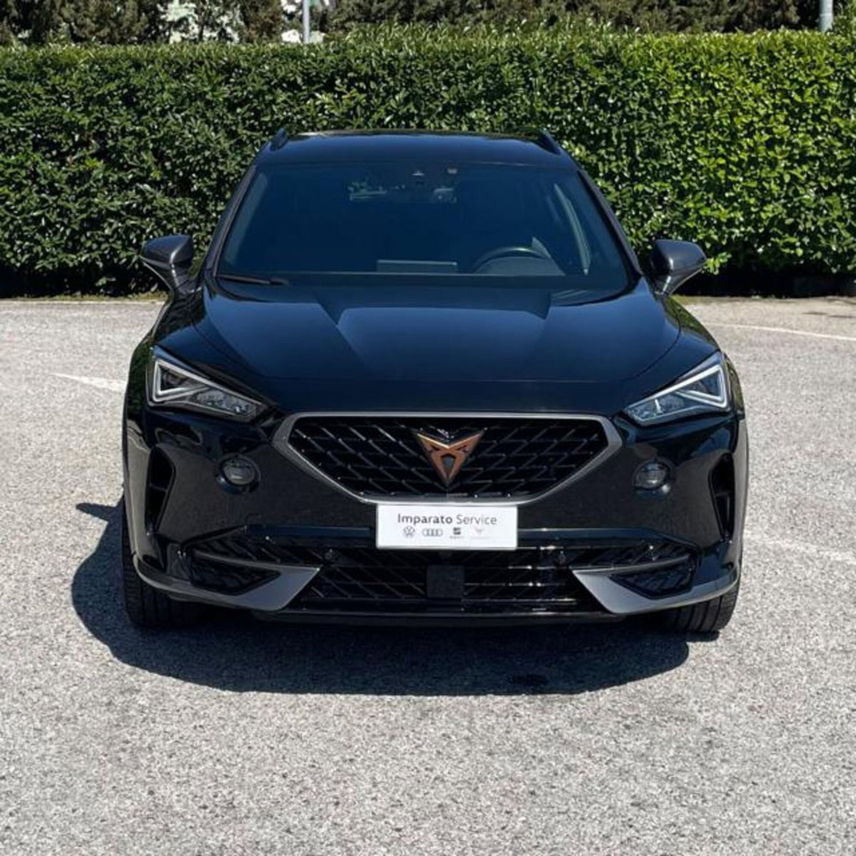 Cupra Formentor Formentor 2.0 tdi 4drive 150cv dsg (2)