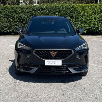 Cupra Formentor Formentor 2.0 tdi 4drive 150cv dsg (2)
